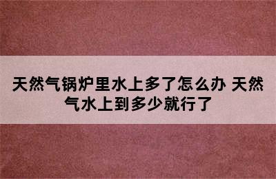 天然气锅炉里水上多了怎么办 天然气水上到多少就行了